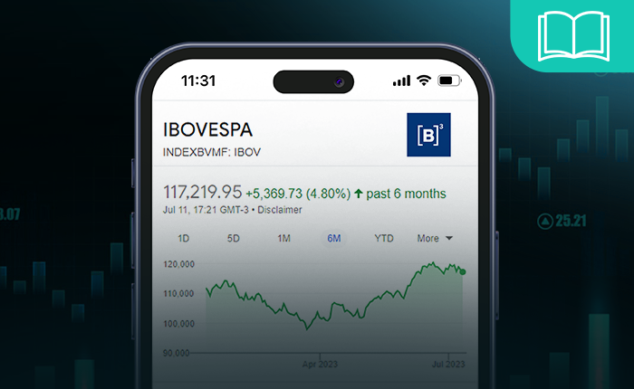 Bovespa Index: Anleitfaden