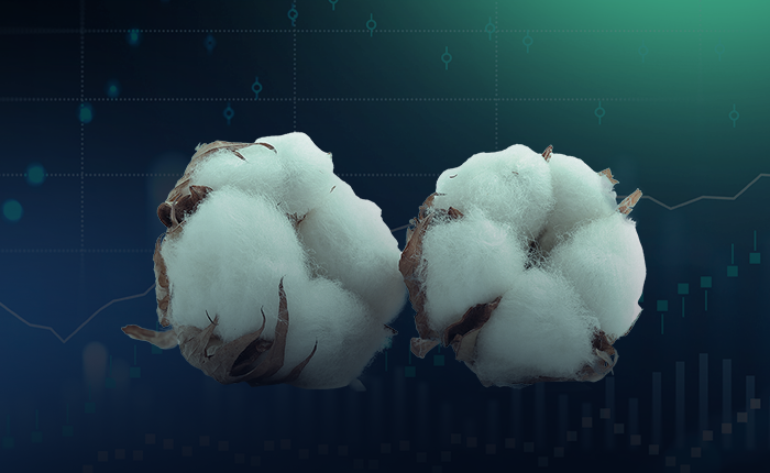 Baumwollmarkt: China führt